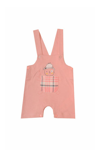 Printed Sleeveless Jumpsuit