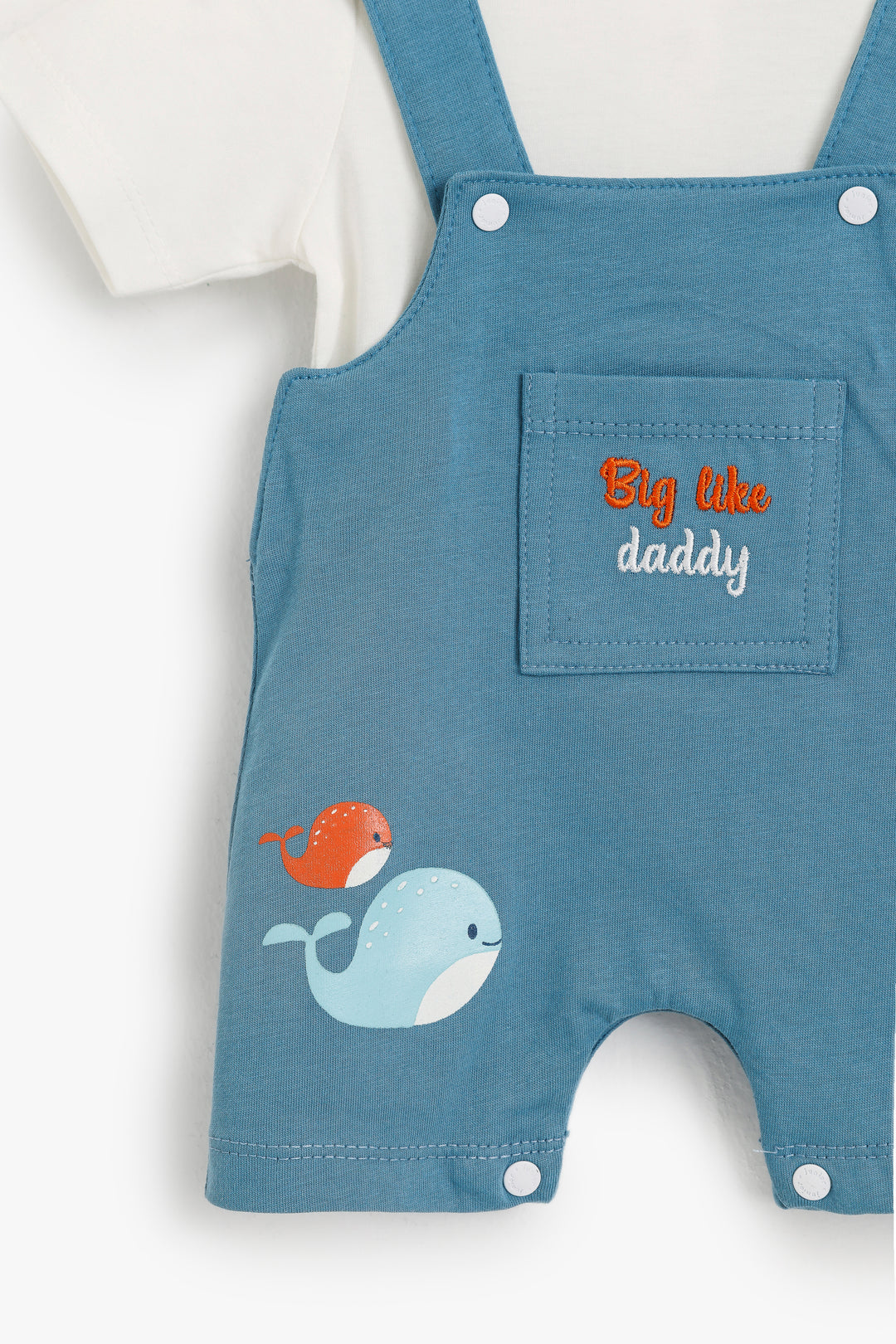 Baby Boys Romper Set Pack Of 2