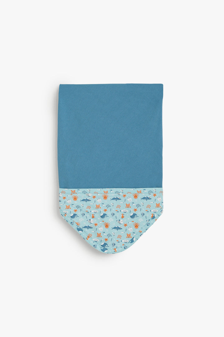 Baby Boys Blanket