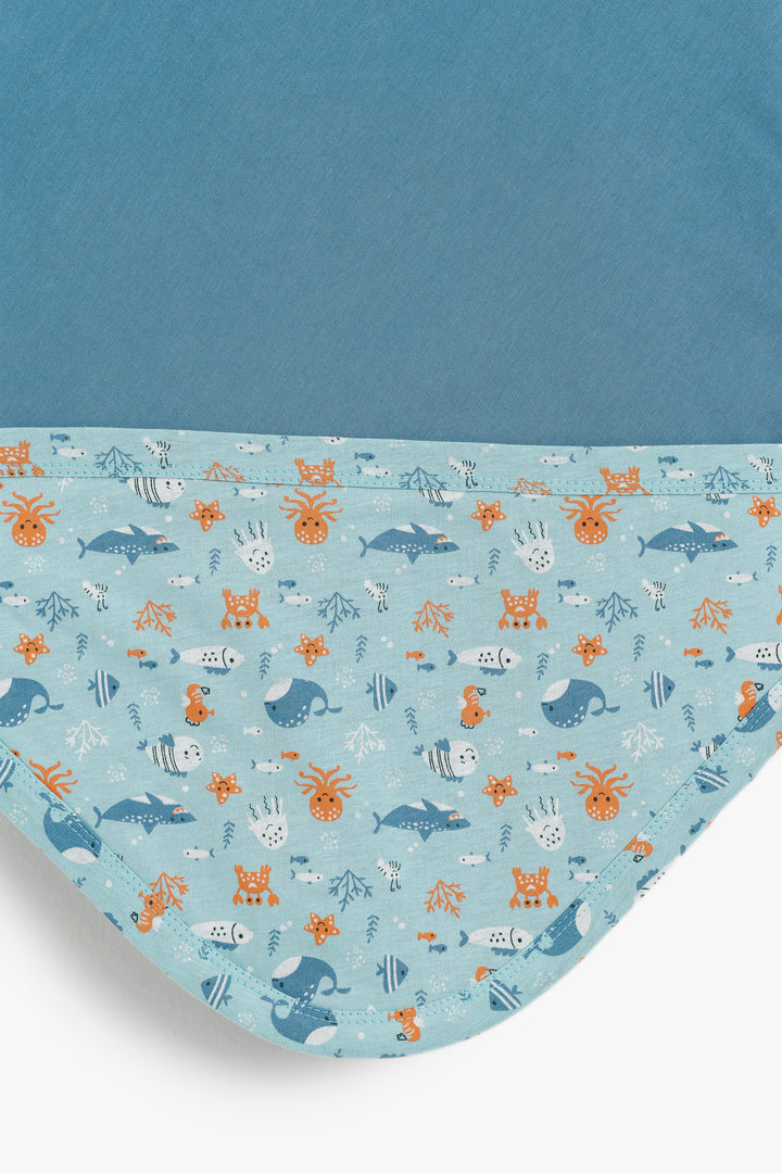 Baby Boys Blanket