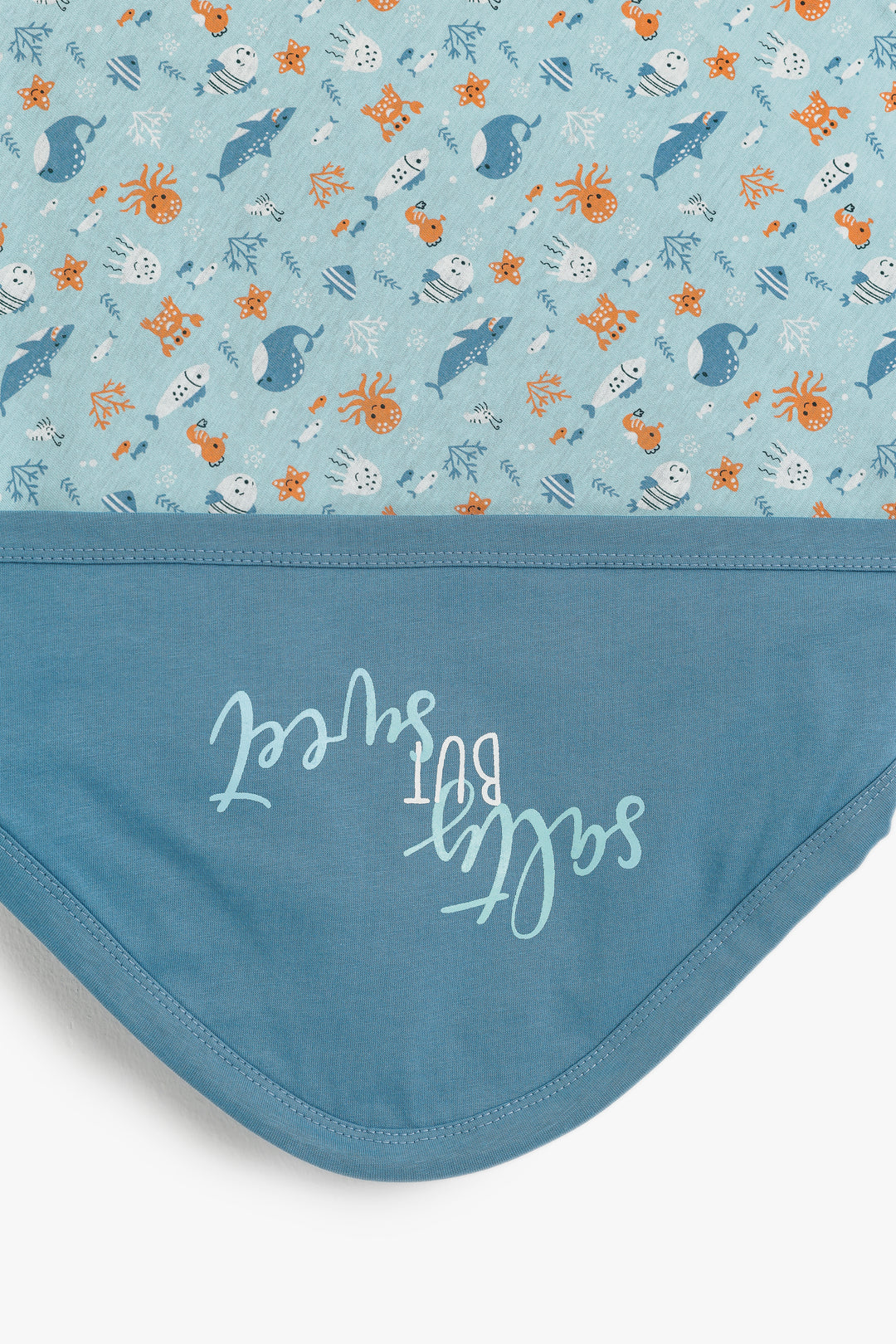 Baby Boys Blanket