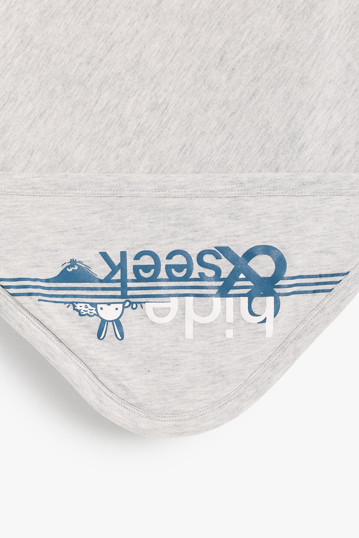 Baby Boys Blanket