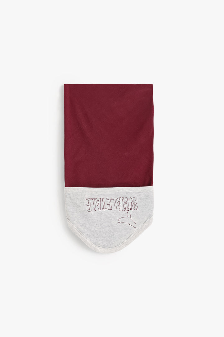 Baby Boys Blanket