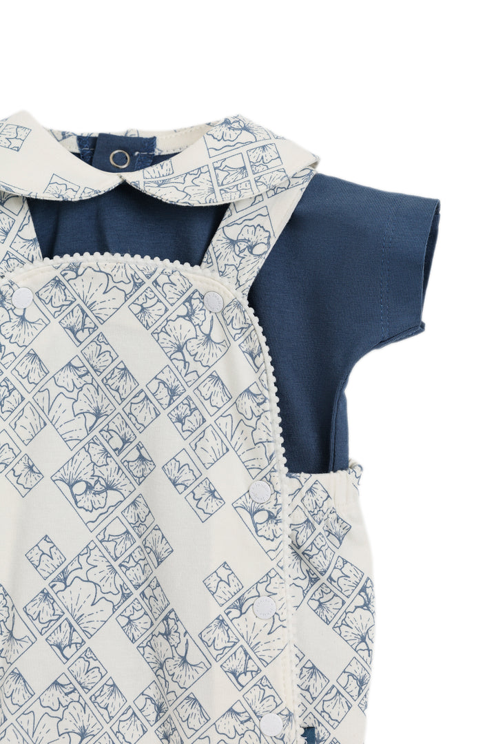 Baby Girls Romper Set Pack Of 2