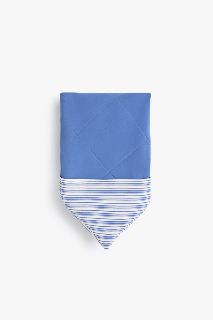 Baby Boys Striped Animals Blanket