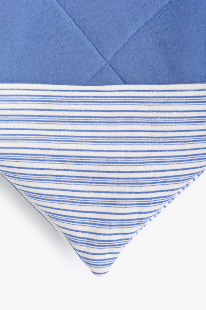 Baby Boys Striped Animals Blanket