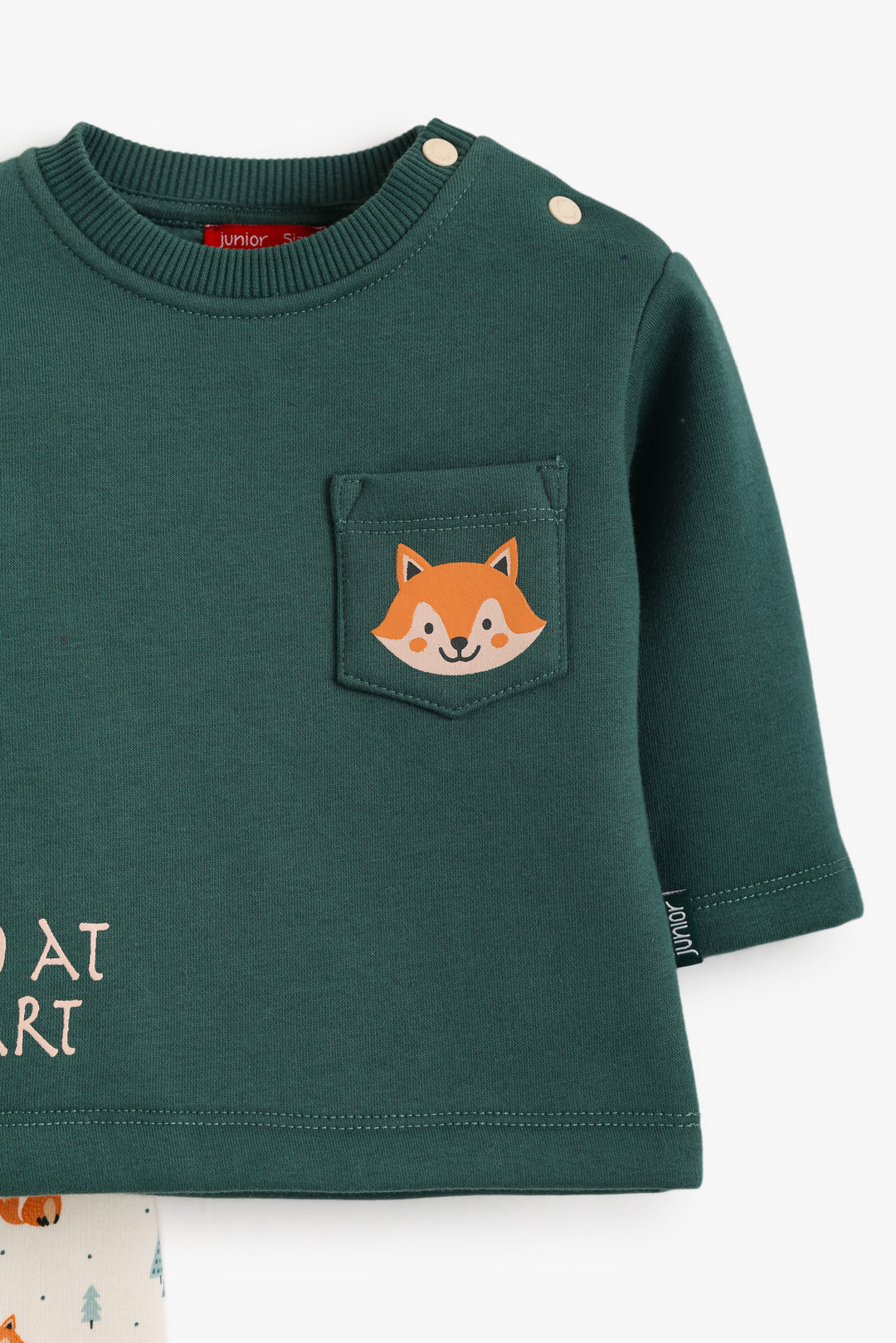 Baby Boys Foxie Adventures Pyjama Set