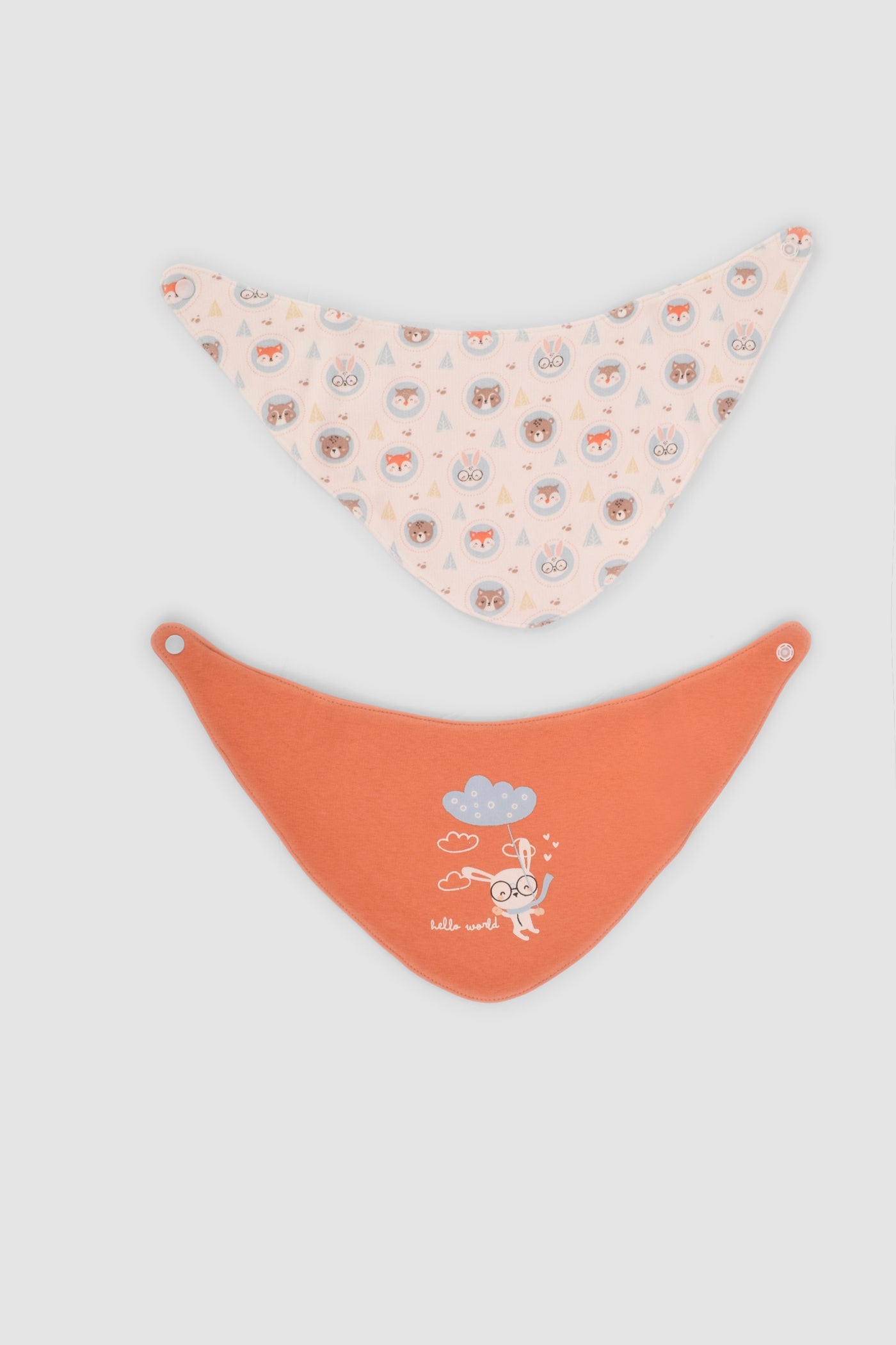 Printed Baby Bib P/2