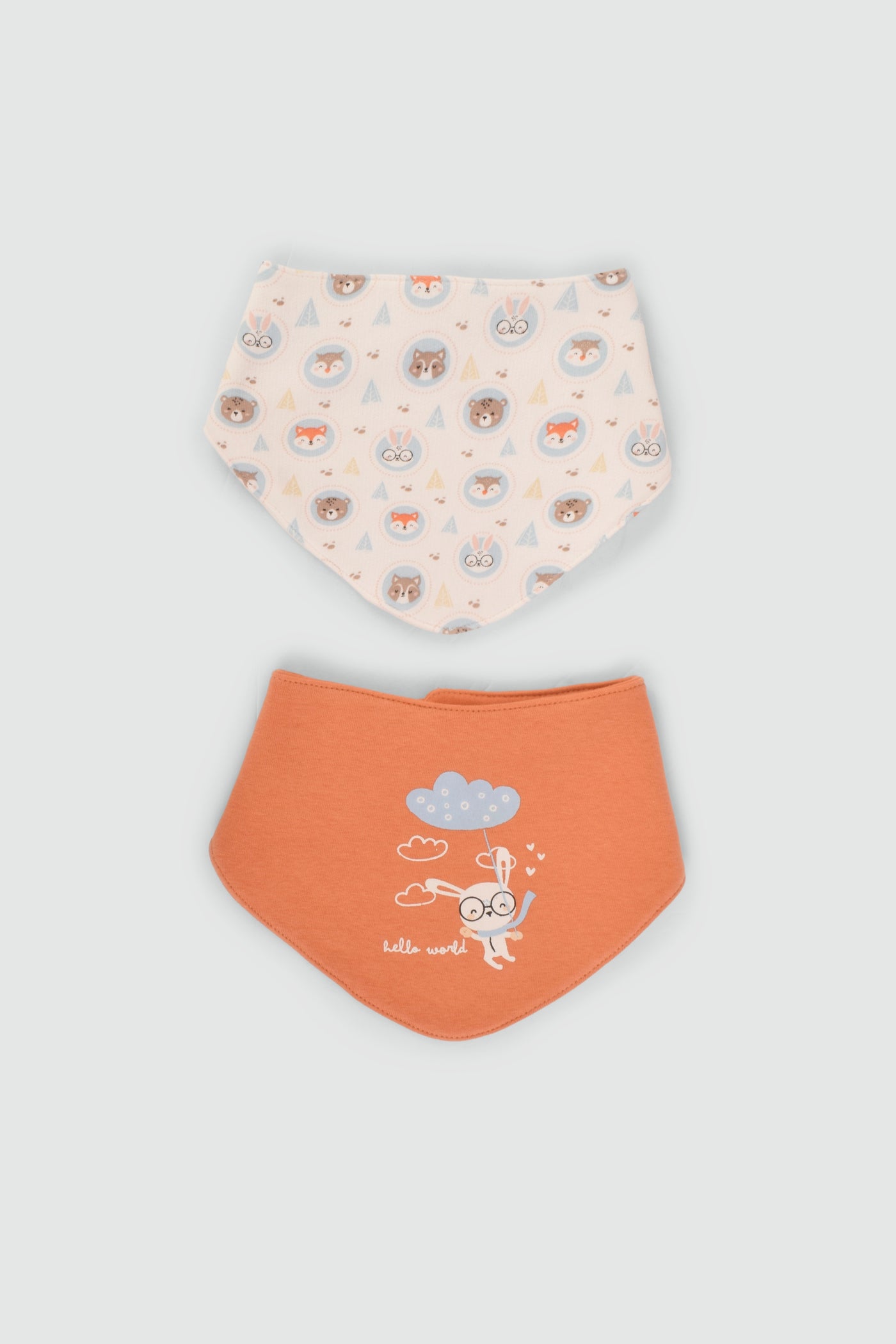 Printed Baby Bib P/2