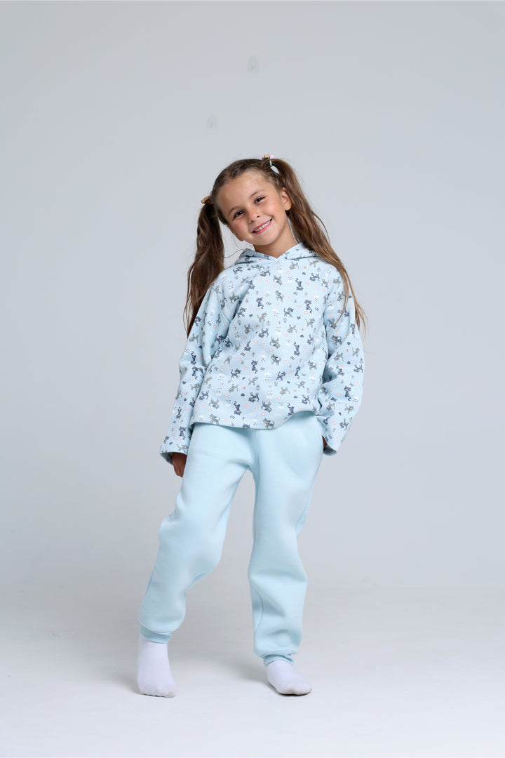 Hooded Printed Pajamas Set 22253404