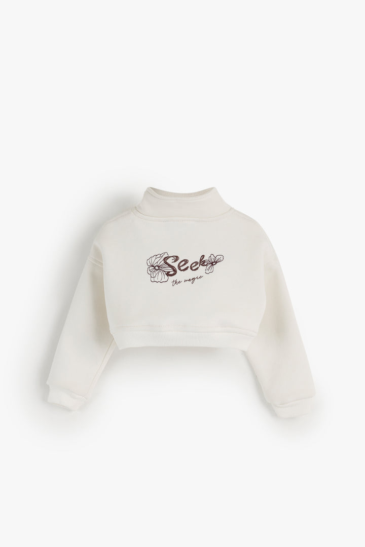 Over Size Crop Sweat Shirt