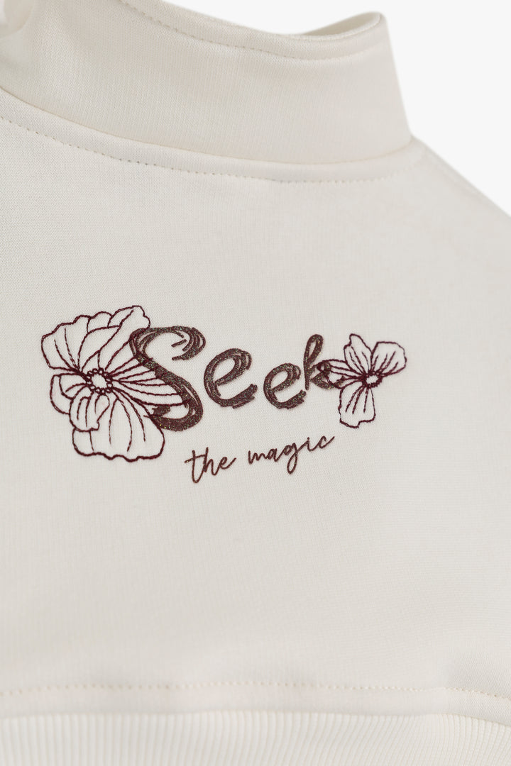 Over Size Crop Sweat Shirt