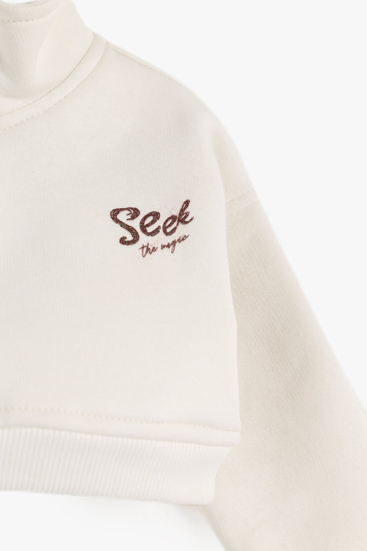 Over Size Crop Sweat Shirt