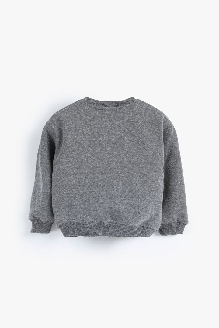 Sweat Shirt 252115302