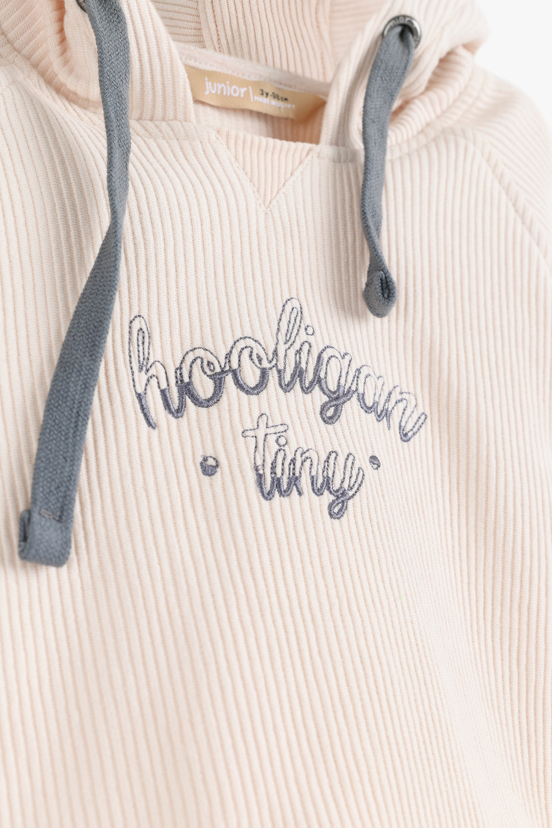 Hooded Sweat Shirt 252115311