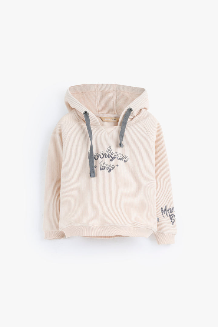 Hooded Sweat Shirt 252115311