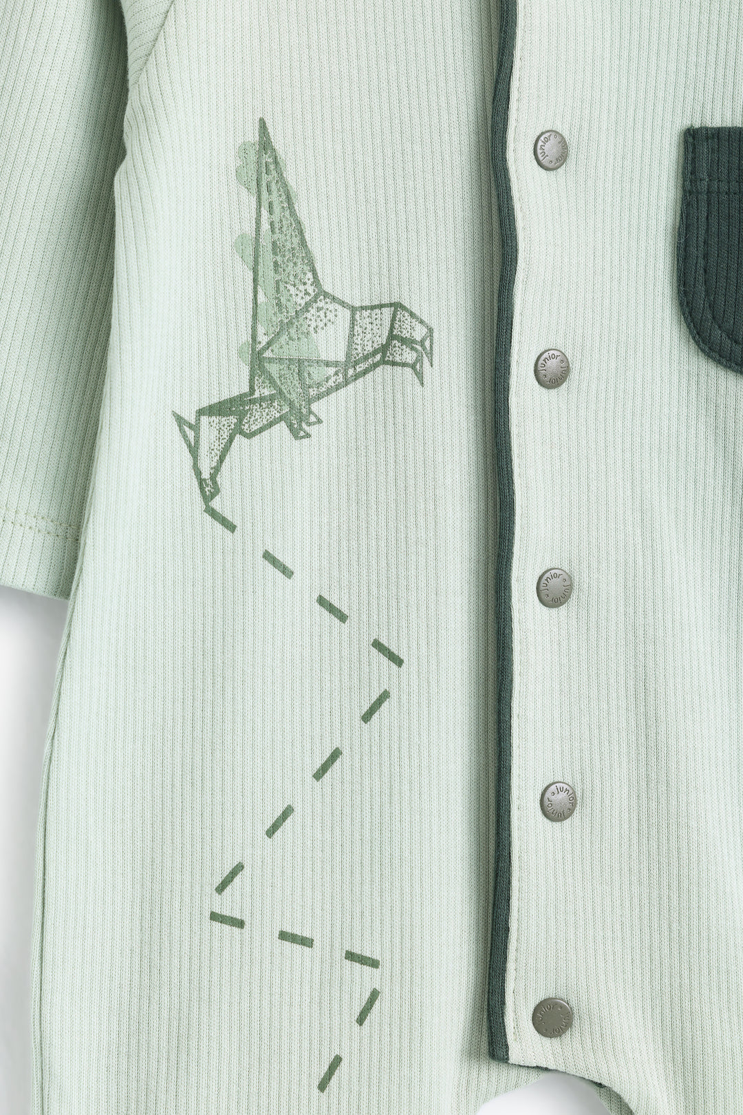 Baby Boys Baby Dino Romper