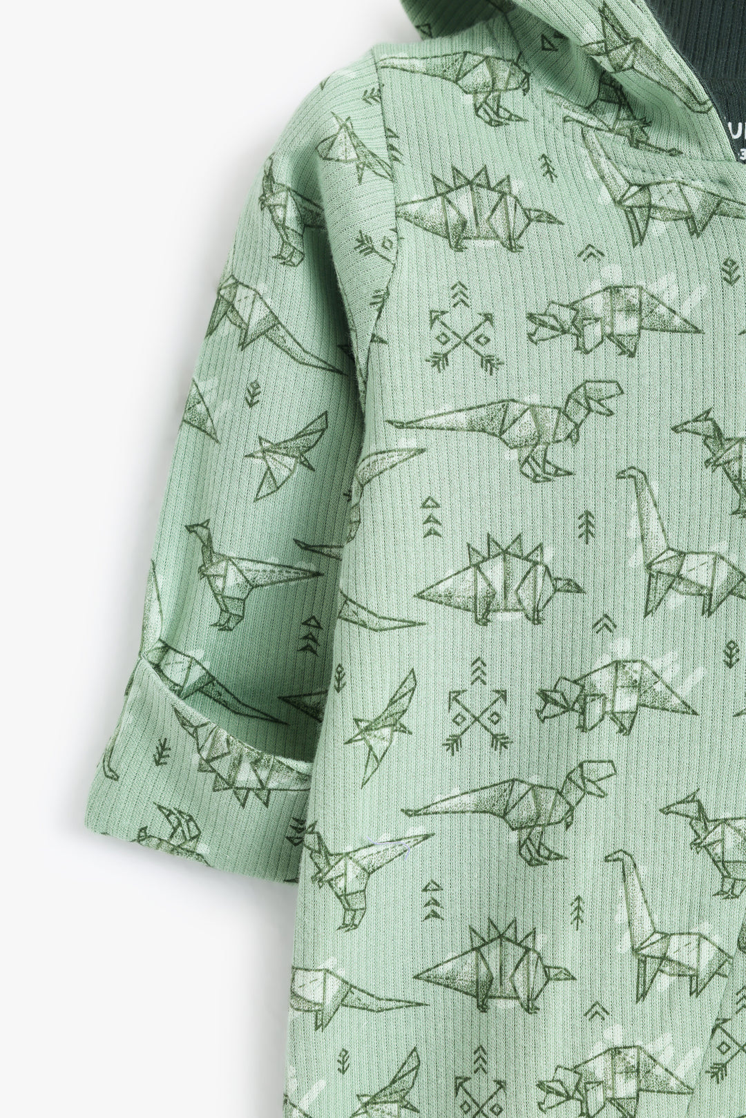Baby Boys Baby Dino Romper