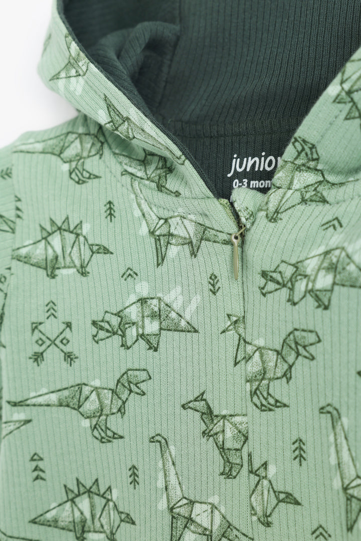 Baby Boys Baby Dino Romper