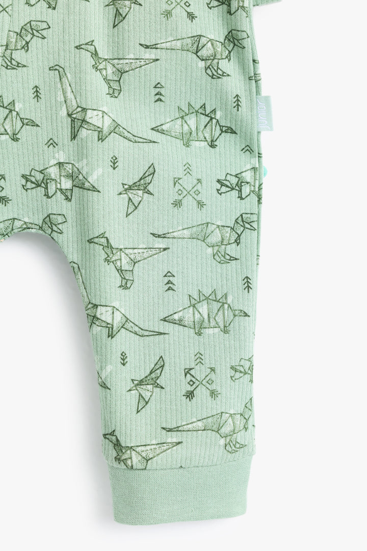 Baby Boys Baby Dino Romper