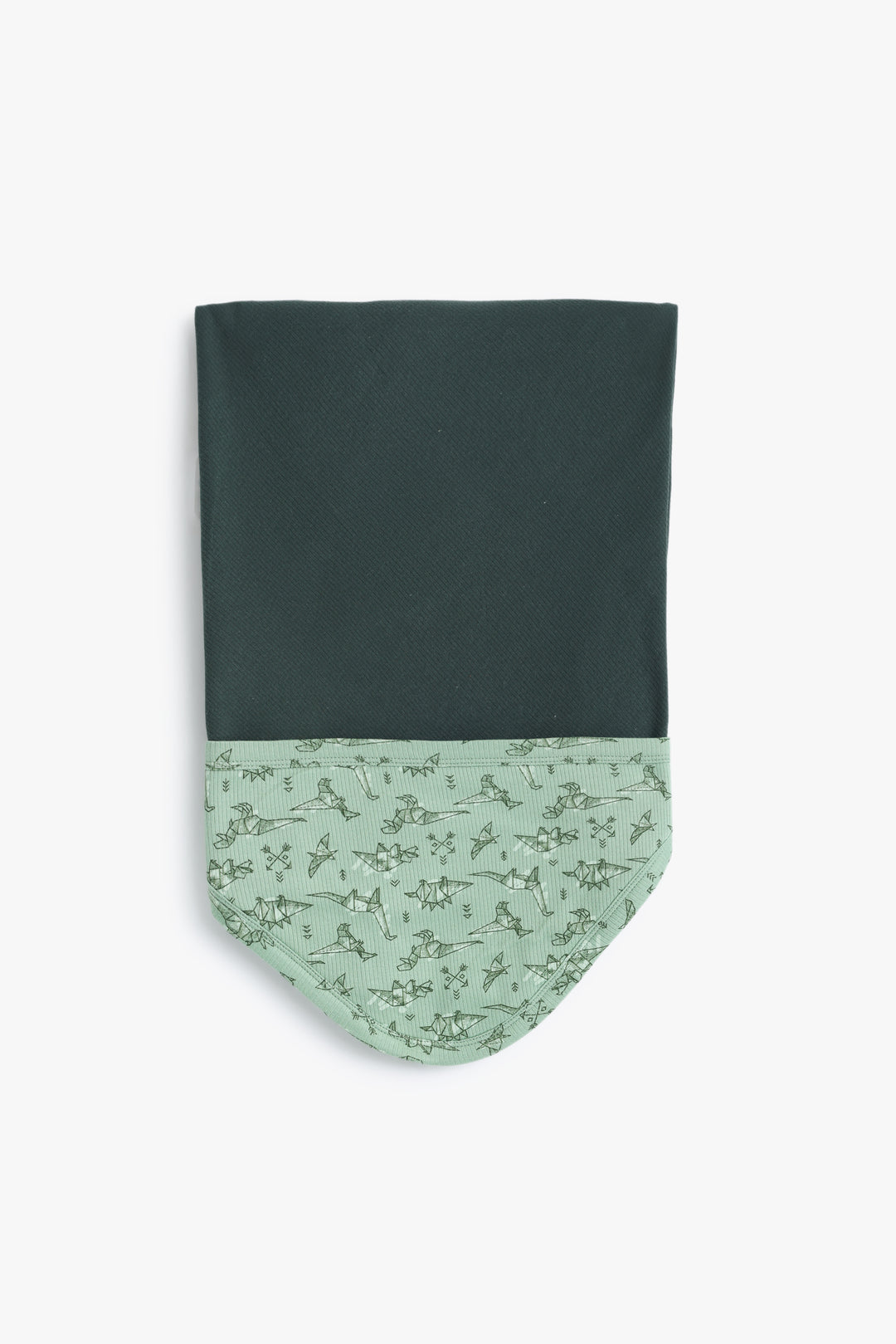 Baby Boys Baby Dino Wrapper
