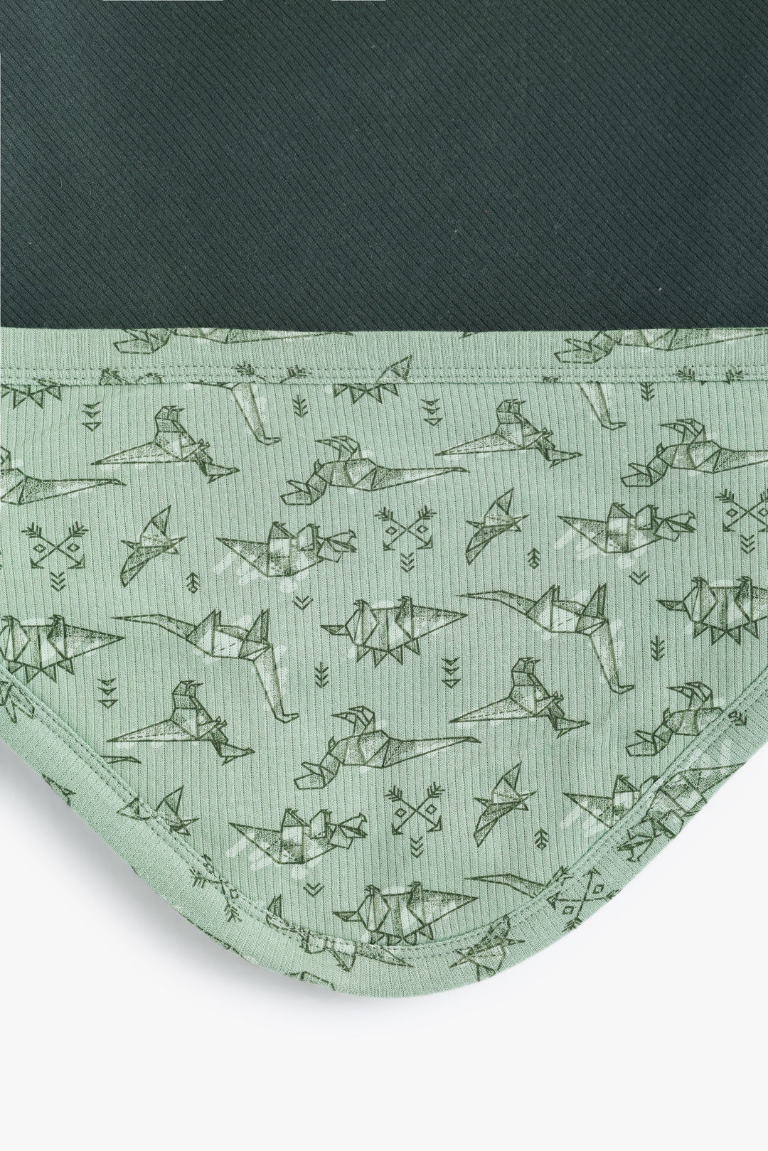 Baby Boys Baby Dino Wrapper