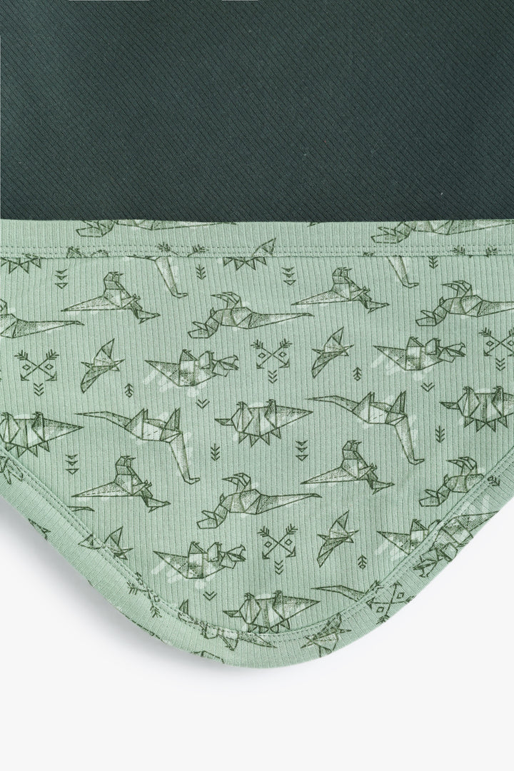 Baby Boys Baby Dino Wrapper