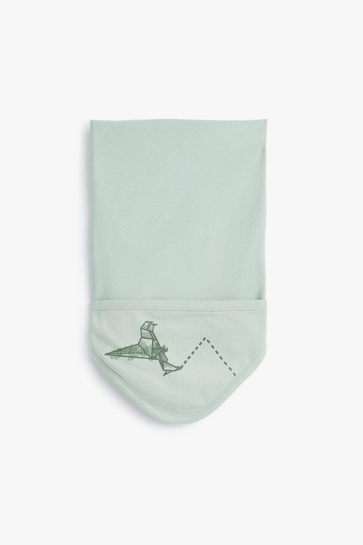 Baby Boys Baby Dino Wrapper
