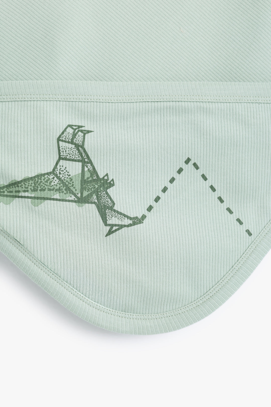Baby Boys Baby Dino Wrapper