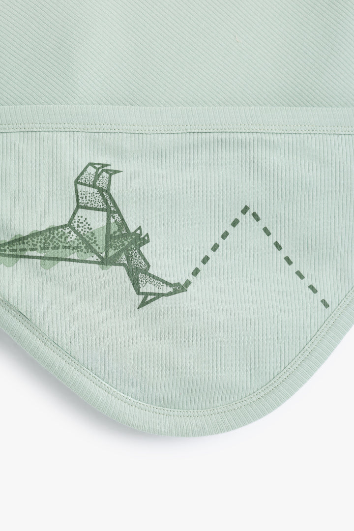 Baby Boys Baby Dino Wrapper