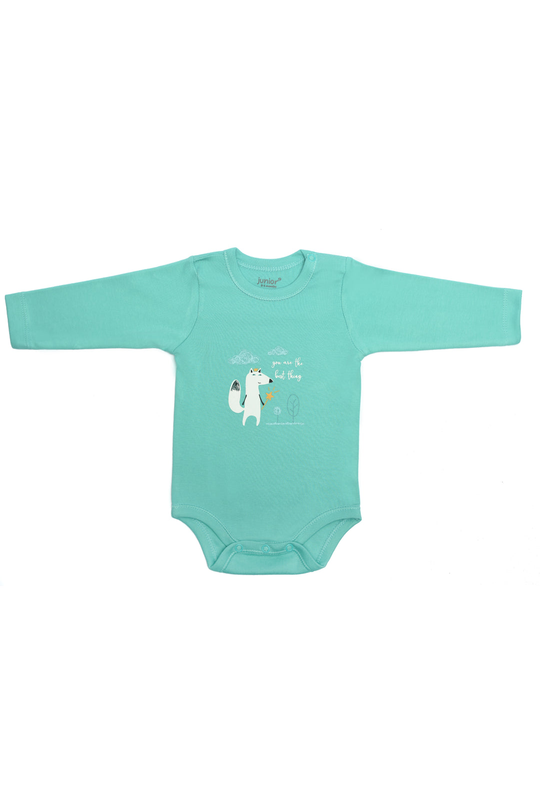 Baby Bodysuit Pack Of 3 6213-36