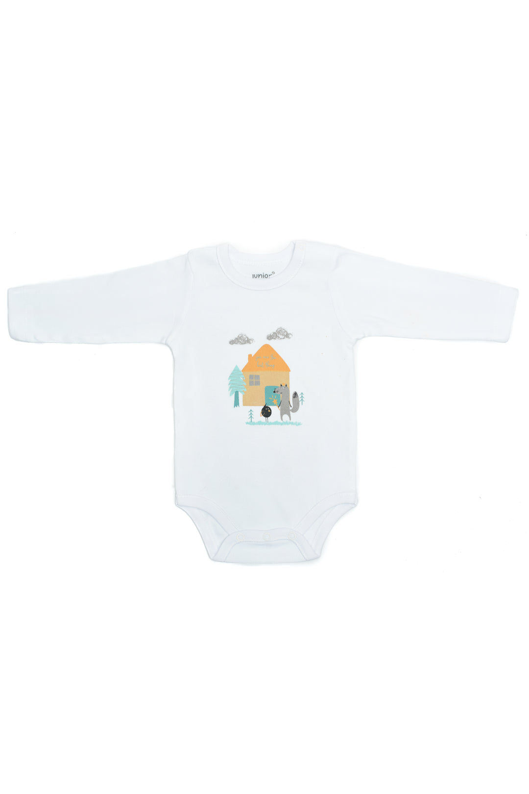 Baby Bodysuit Pack Of 3 6213-36