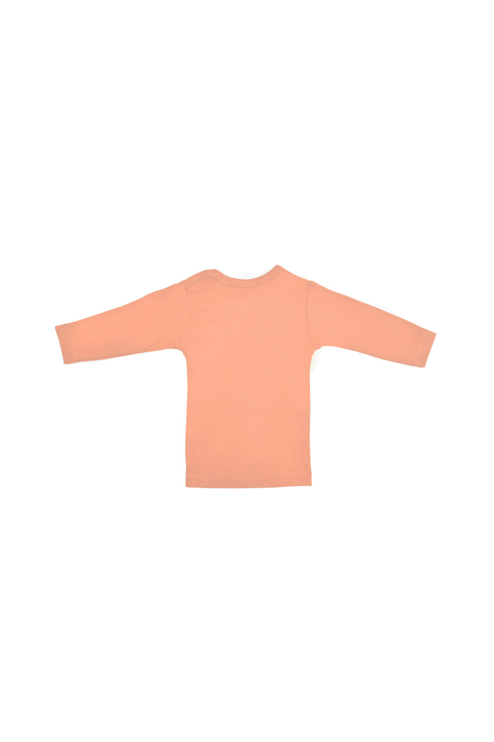 Baby Flannel 6402