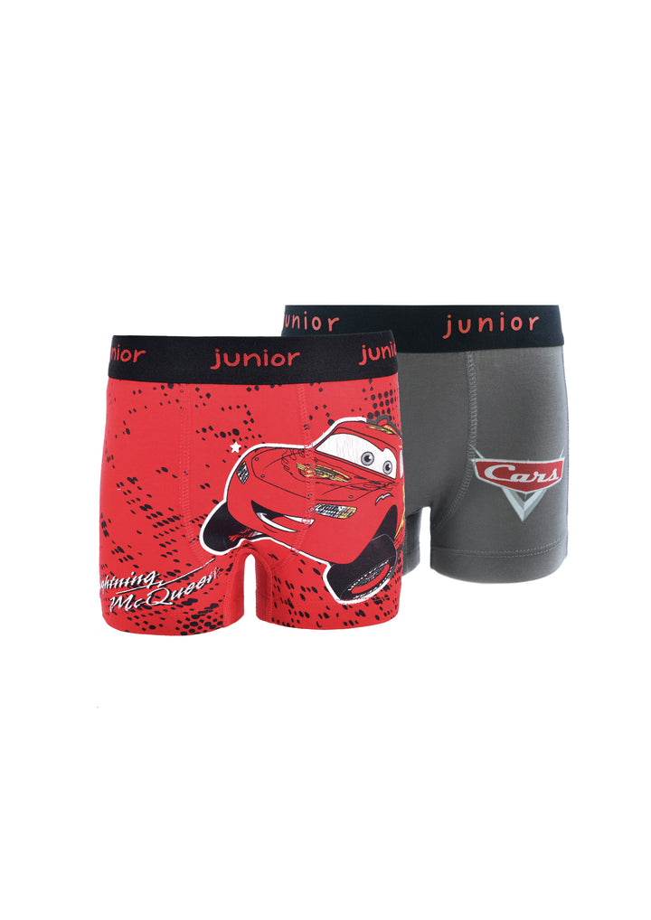Printed Boxer 664