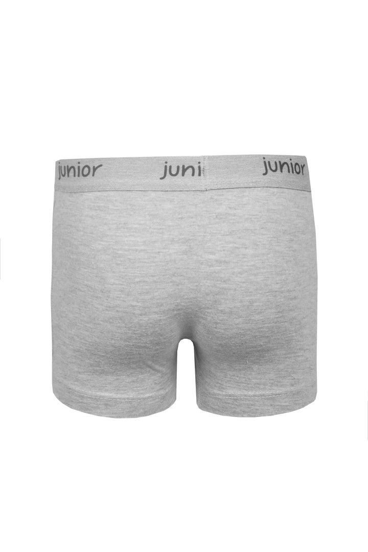 Boys Boxser 665