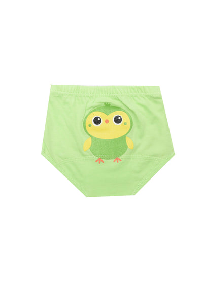 Baby Panty - Junior Egypt