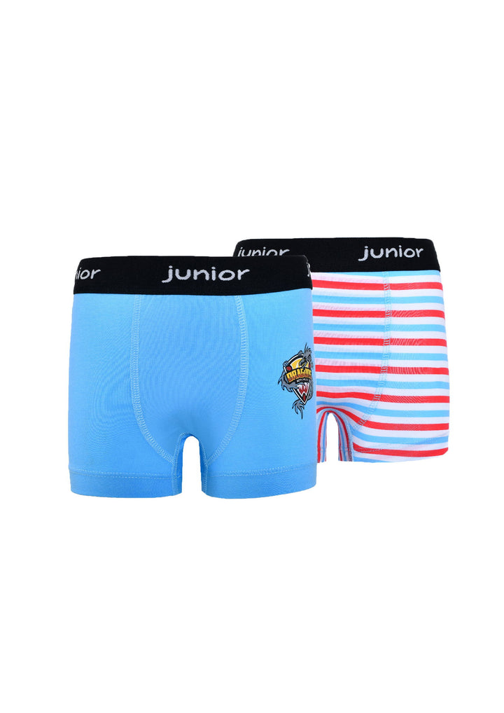 Printed Boxer - Junior Egypt