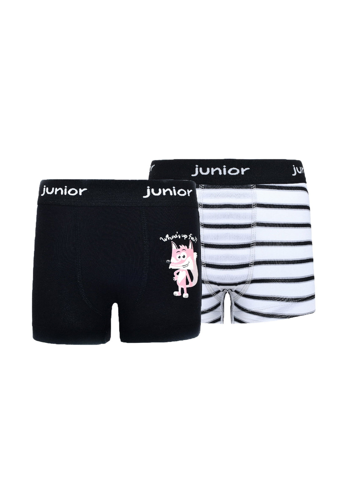 Printed Boxer - Junior Egypt