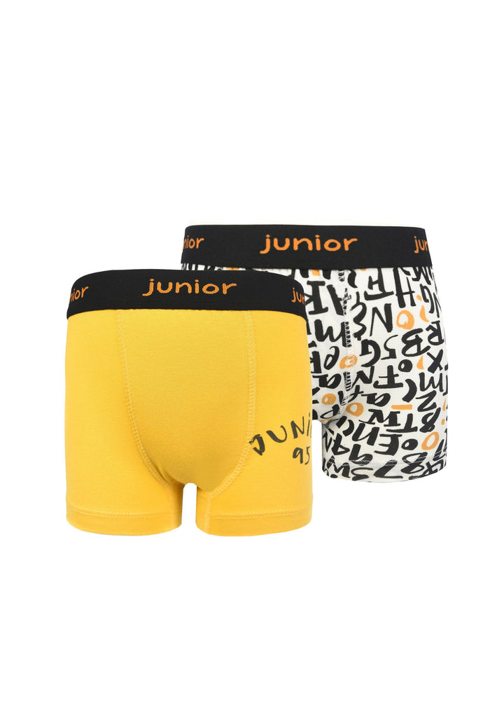 Printed Boxer - Junior Egypt