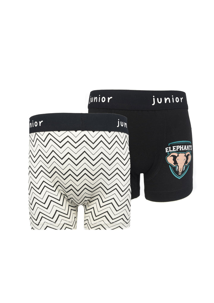 Printed Boxer - Junior Egypt