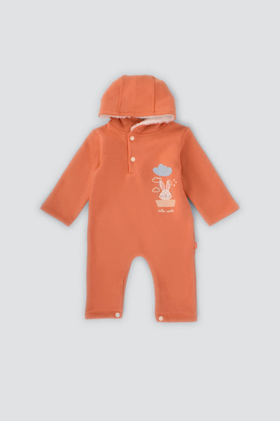 Printed Hooded Jumpsuit - Junior Egypt