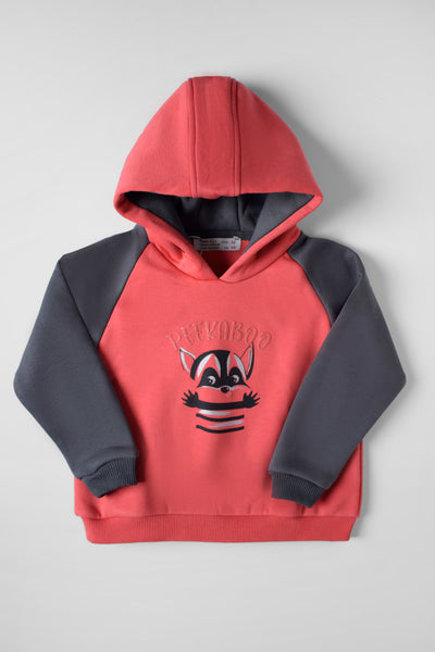 Printed Long Sleeve Hoodie - Junior Egypt