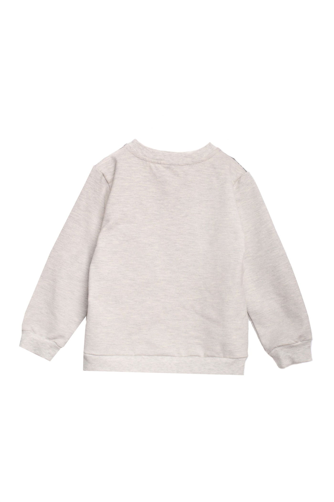 Printed Long Sleeve Sweat Shirt - Junior Egypt