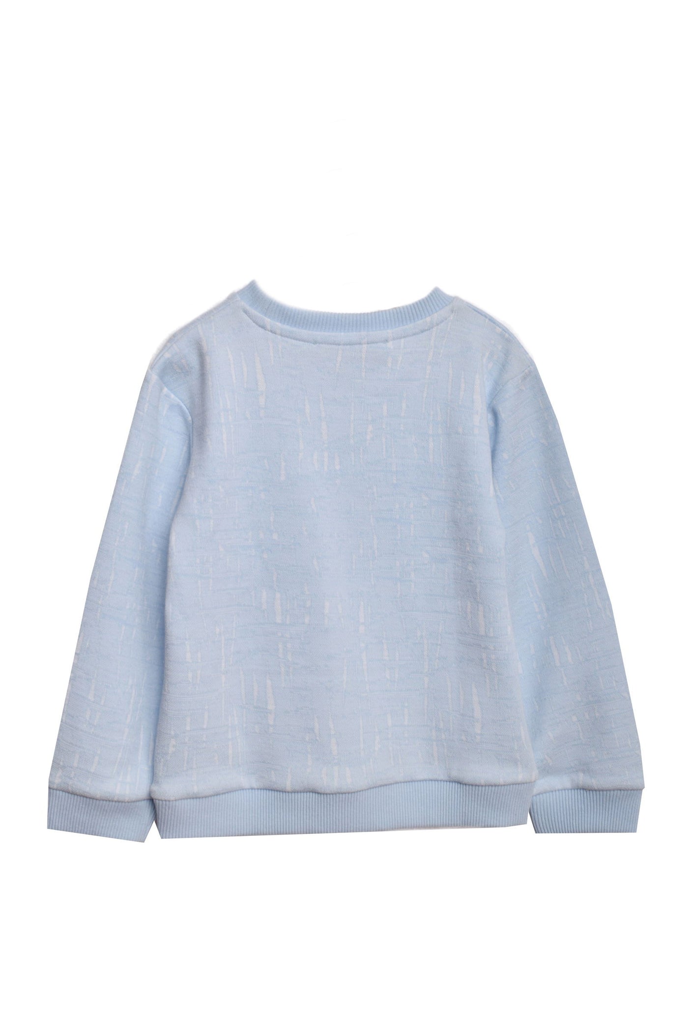 Printed Long Sleeve Sweat Shirt - Junior Egypt