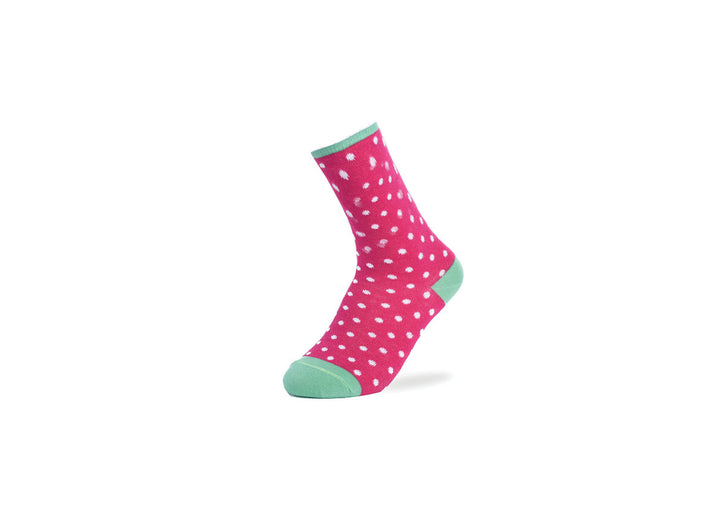 Socks Pack Of 3 - Junior Egypt